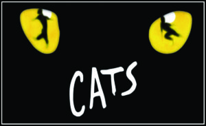 Read more about the article The Academy of The Company Theatre and Teen Conservatory Announce Auditions for CATS