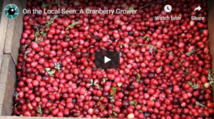 Read more about the article This is Who We Are: A Cranberry Grower