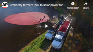 Read more about the article Cranberry farmers look to solar power for hope