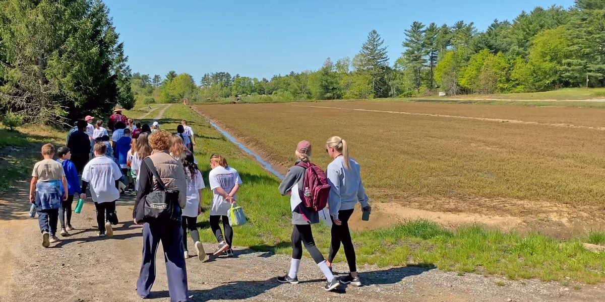 Carver elementary students and chaperones walk along a bog during a Massachusetts Cranberries School Tour Program, courtesy image